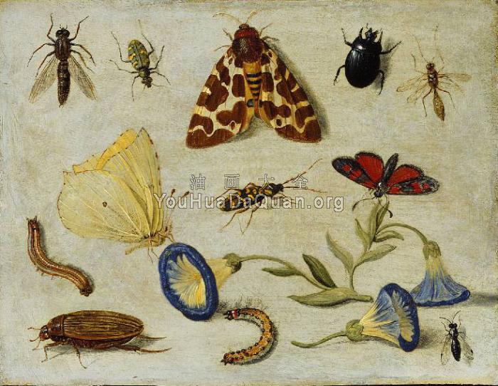 Insects - 简·凡·凯塞尔